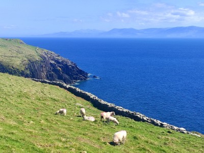 Półwysep Dingle, fot. Wojtek Wąsowicz
